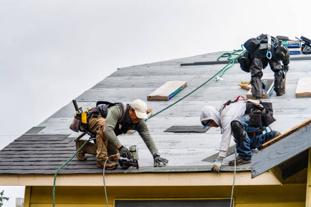 Professional Gutter Installation technician working in Memphis, FL